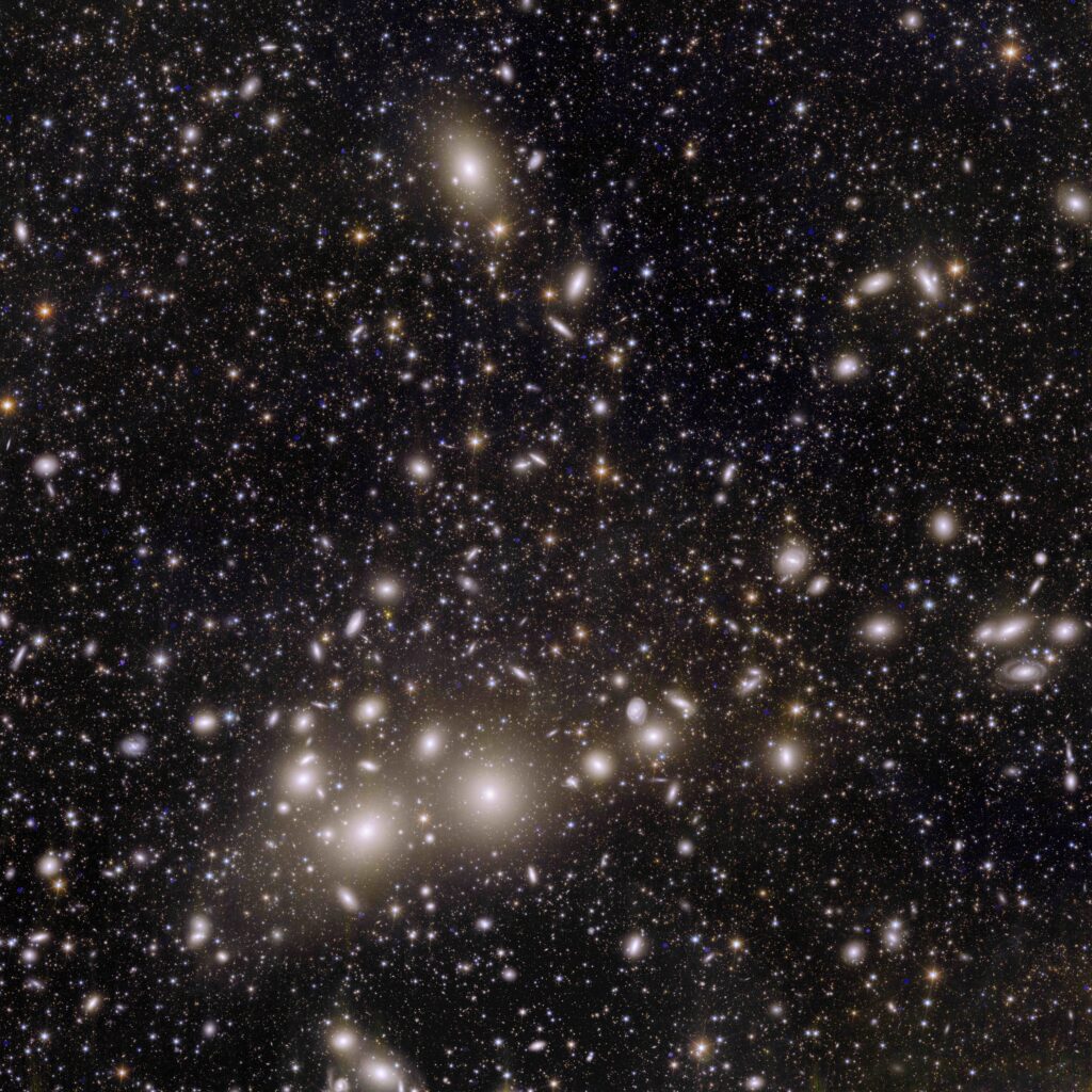 Galaxias