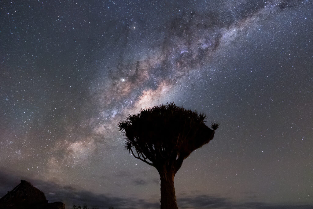 hermosa-vista-del-paisaje-nocturno-de-la-via-lactea-y-el-nucleo-galactico-sobre-el-parque-nacional-etosha-camping-namibia